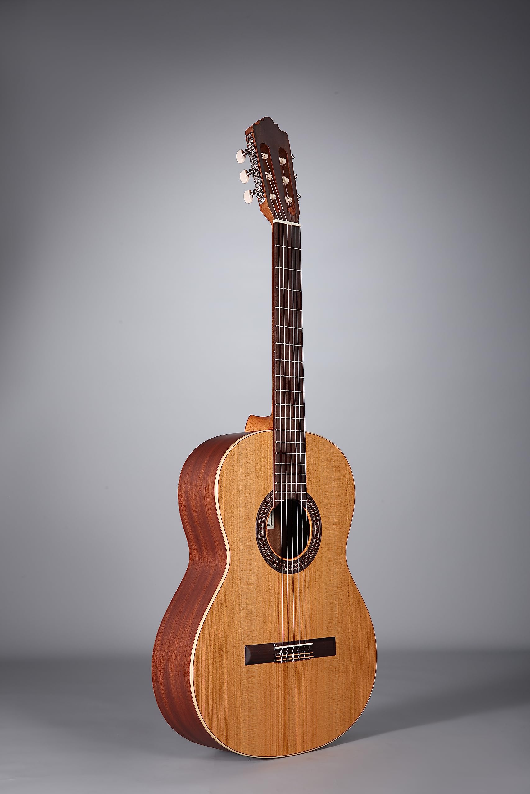 ALTAMIRA GUITAR MOD BASICO